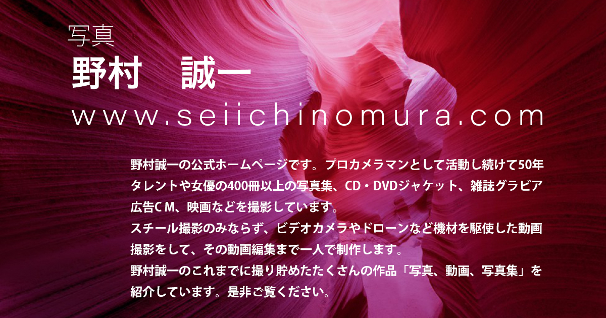 野村誠一 SEIICHI NOMURA Website